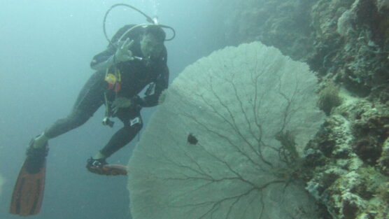 Mark dive guide by huge sea fan next to cave dive site of Siquijor.