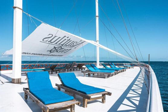 Closeup of sun loungers on sundeck