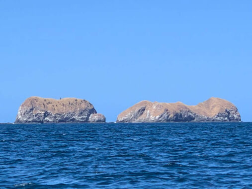 Catalina Islands