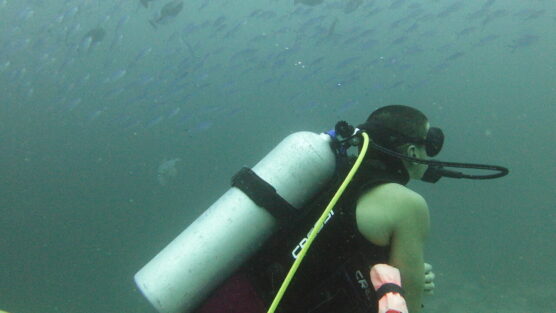 Georgi looking at blue fish school