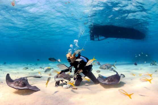 Stingray City