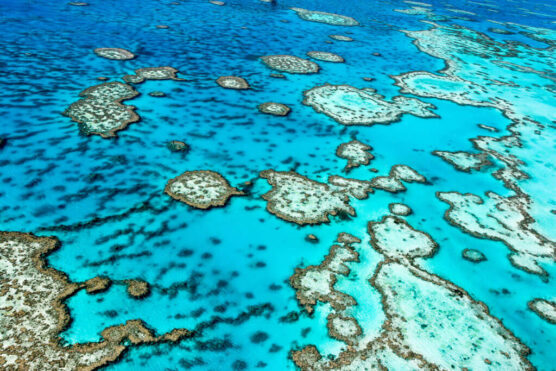 Aerial view of some of the stunning corals that make up the great barrier reef.