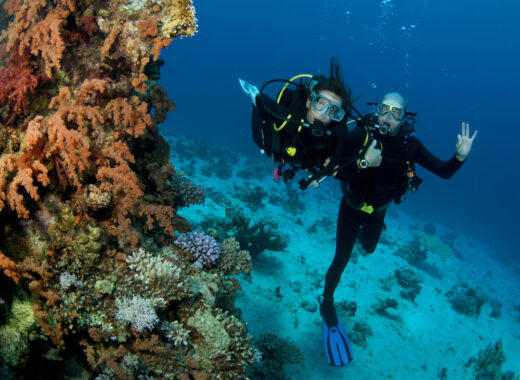 Great Barrier Reef Liveaboard