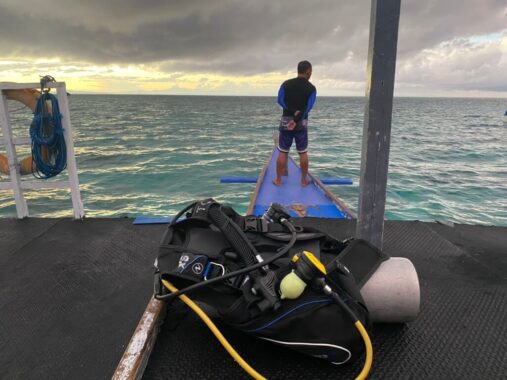 Dive instructor looking for tiger sharks around Monad Shoal from boat