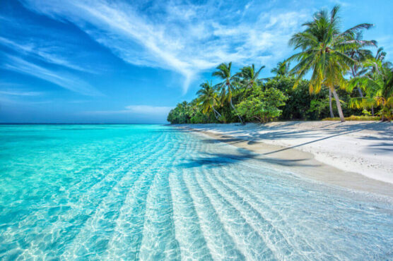 Maldives Tropical Beach