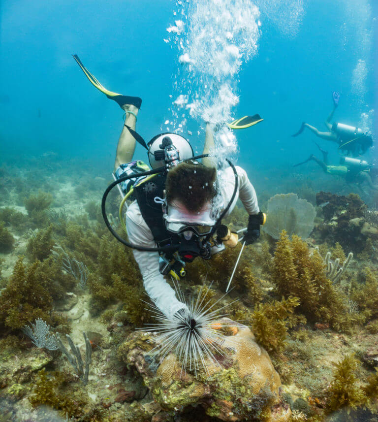 Marine Biologist