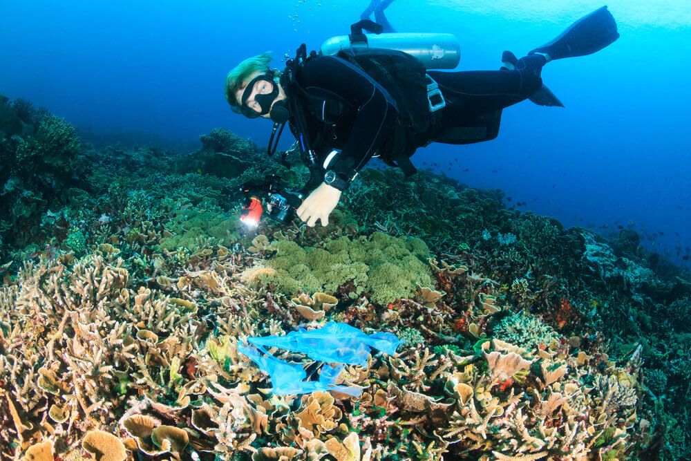 Mozambique Liquid Dive Adventures