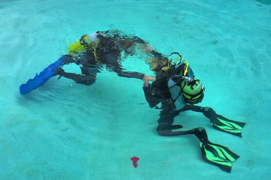 Mozambique diving