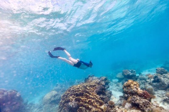 Mozambique swimming