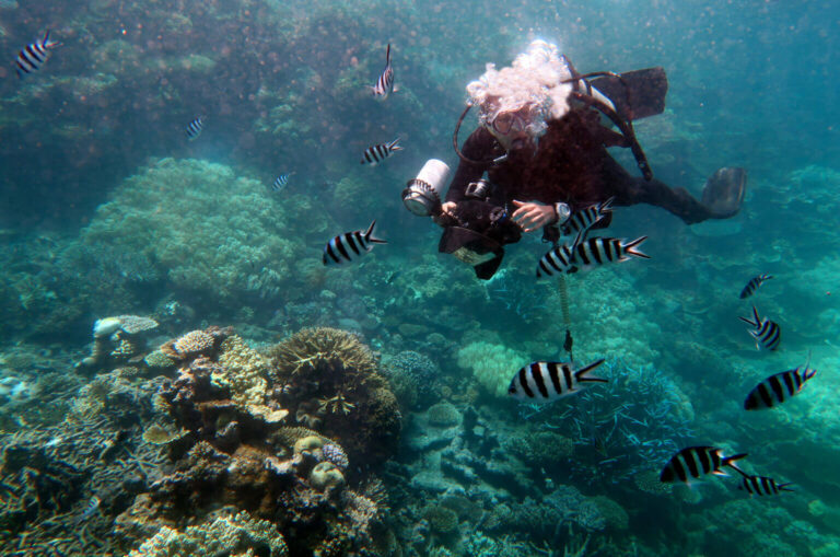 Outer Great Barrier Reef