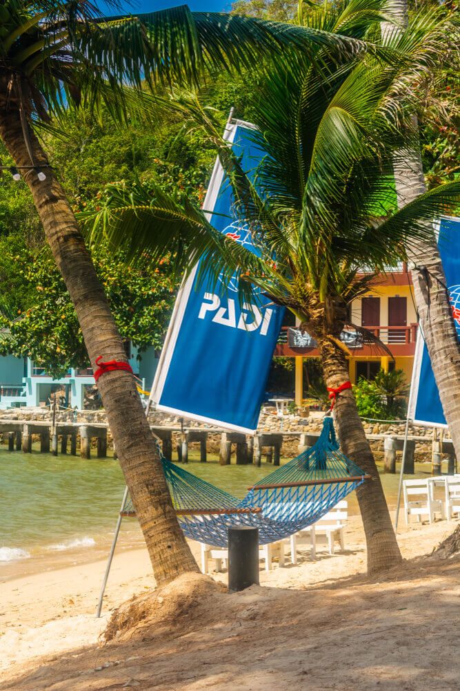 PADI flag in a beach