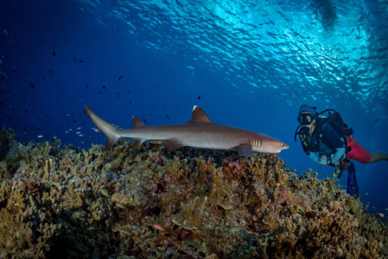 South Raja Ampat