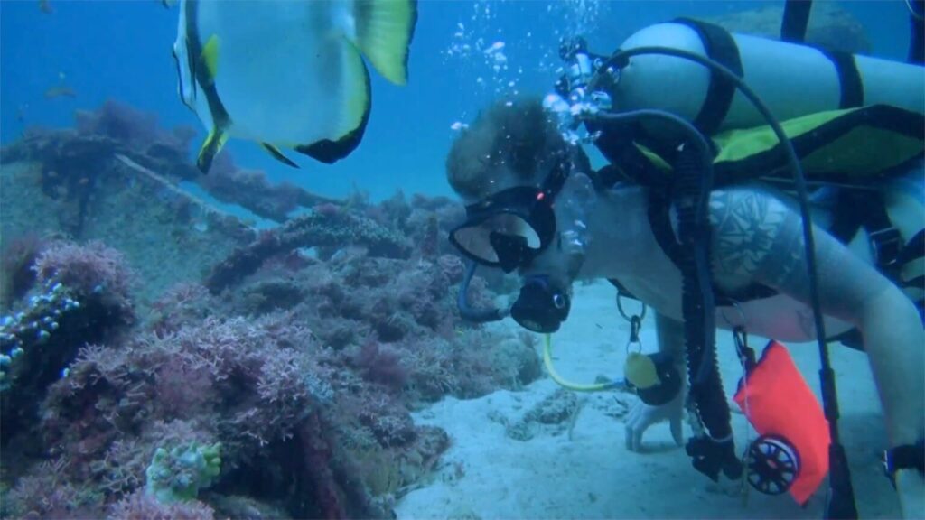 diving with turtle