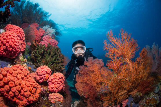 raja ampat scuba diver