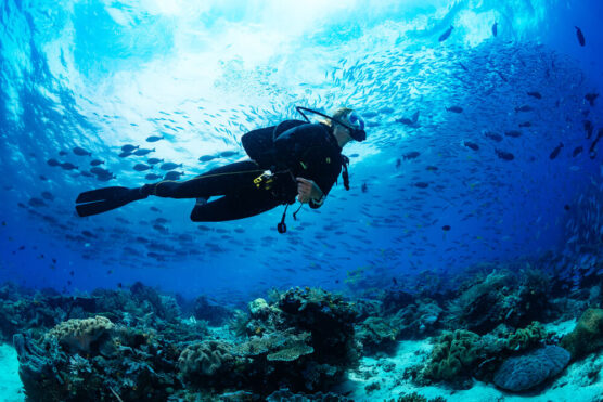 Diving in Raja Ampat showcases incredible marine biodiversity