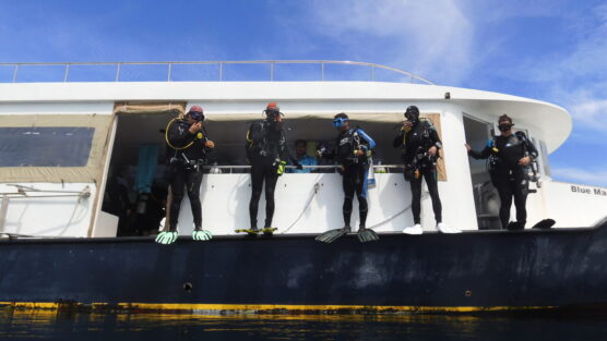 Shad and group of.4 characters on boat AWESOME