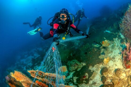 Thailand eco diving