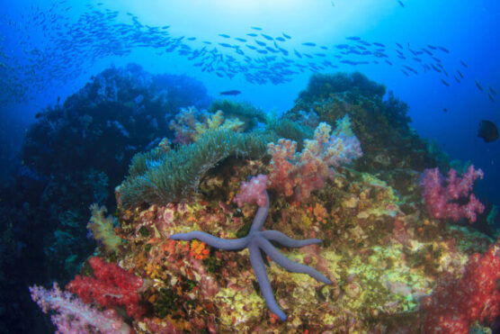 australia Ningaloo Coast shutterstock