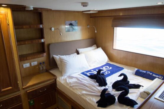 Double Cabin of Blue Voyager