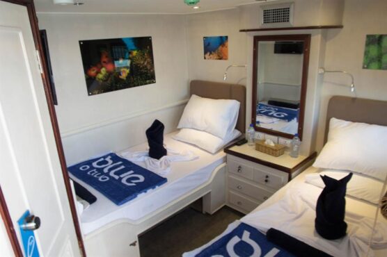 Twin Cabin of Blue Voyager