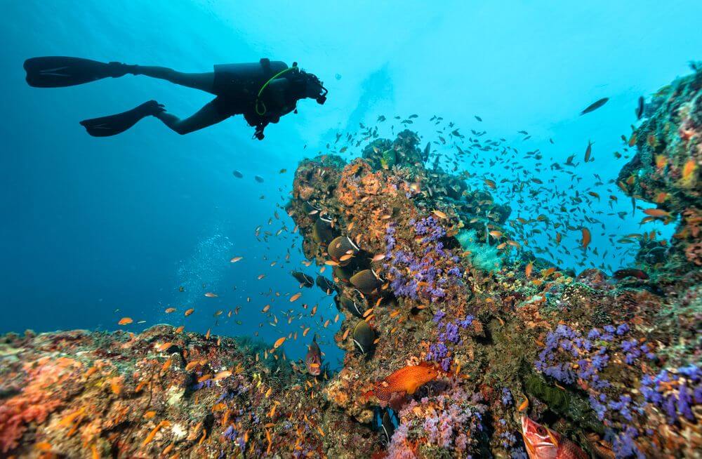 deep dive in the sea