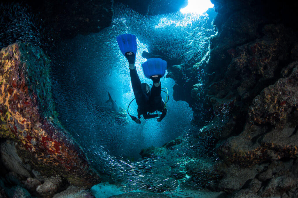 Diver with awesome bcd swimming through coral laden tunnel underwater.
