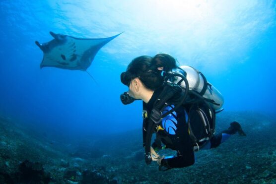 komodo female diver with manta ray