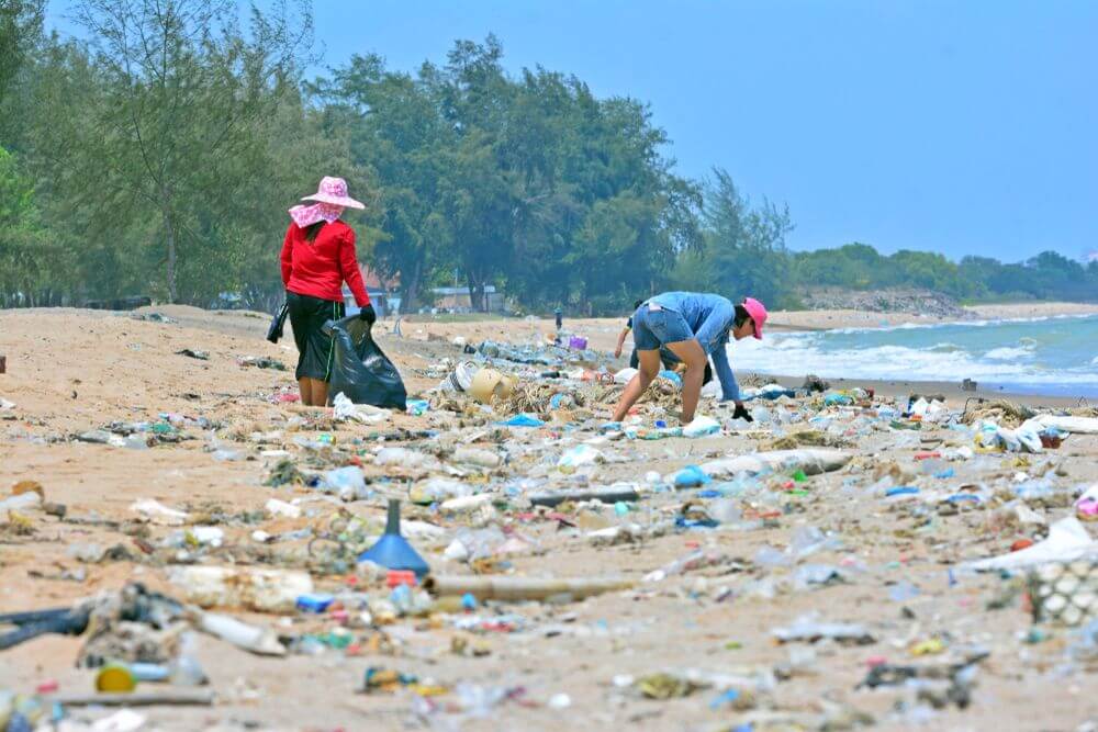 beach cleanup