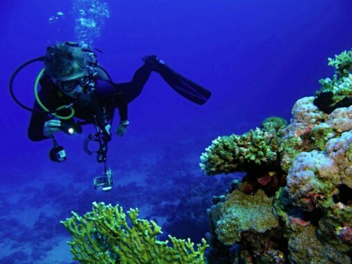 scuba diver with underwater flashlight
