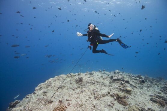 Ngemelis Island