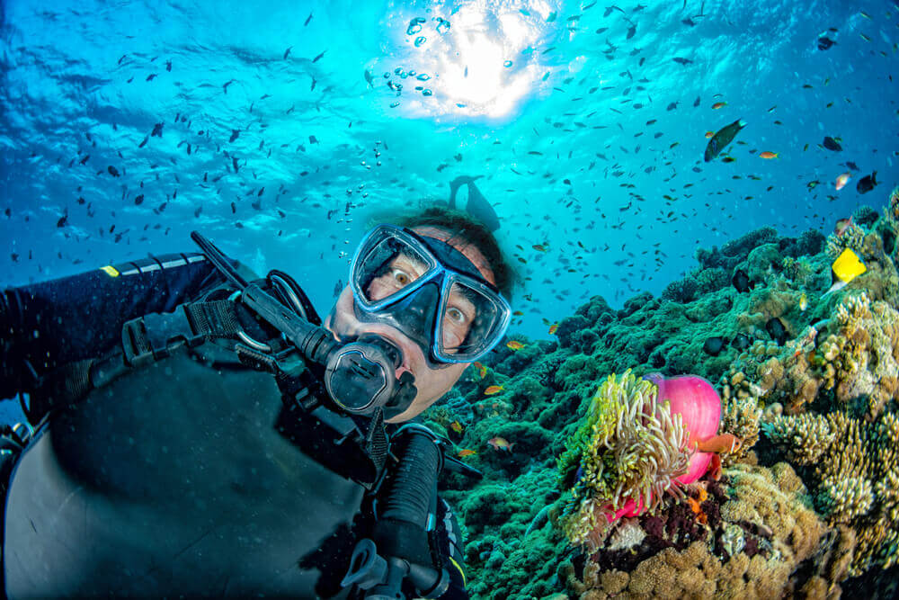 scuba diver with corals