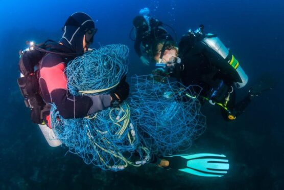 scuba divers removing fish net