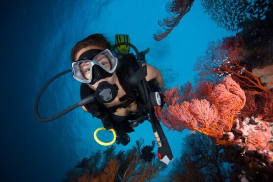 scuba dive refresher