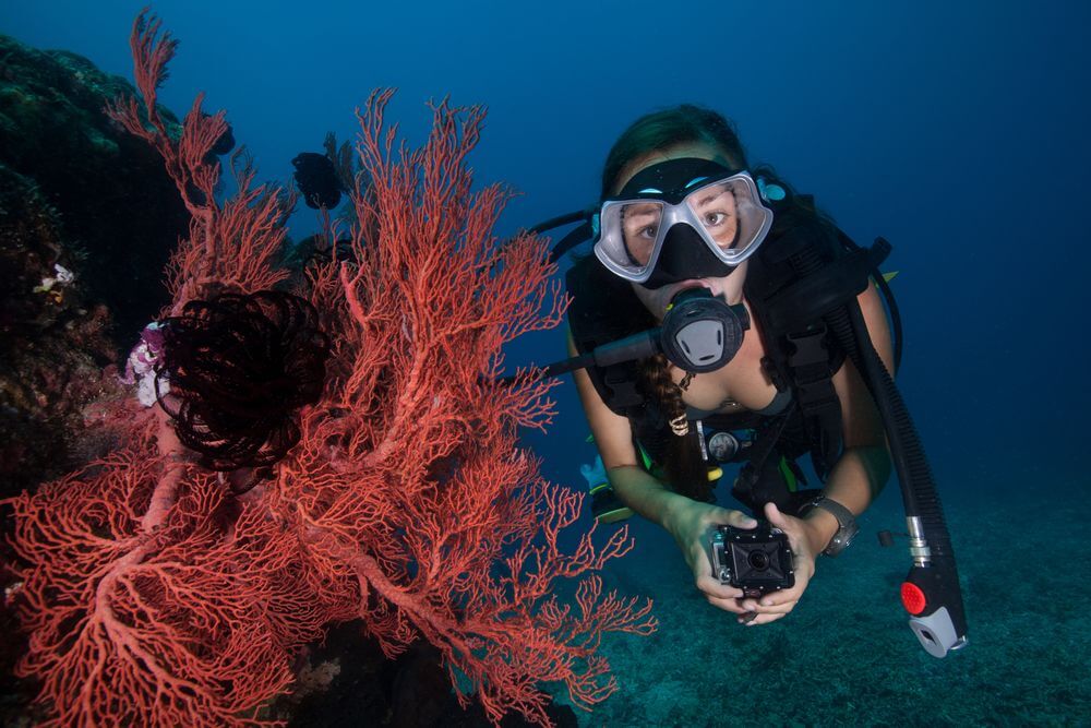 underwater photography