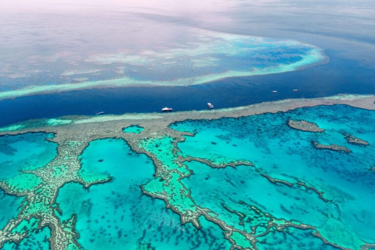 Great Barrier aerial shot