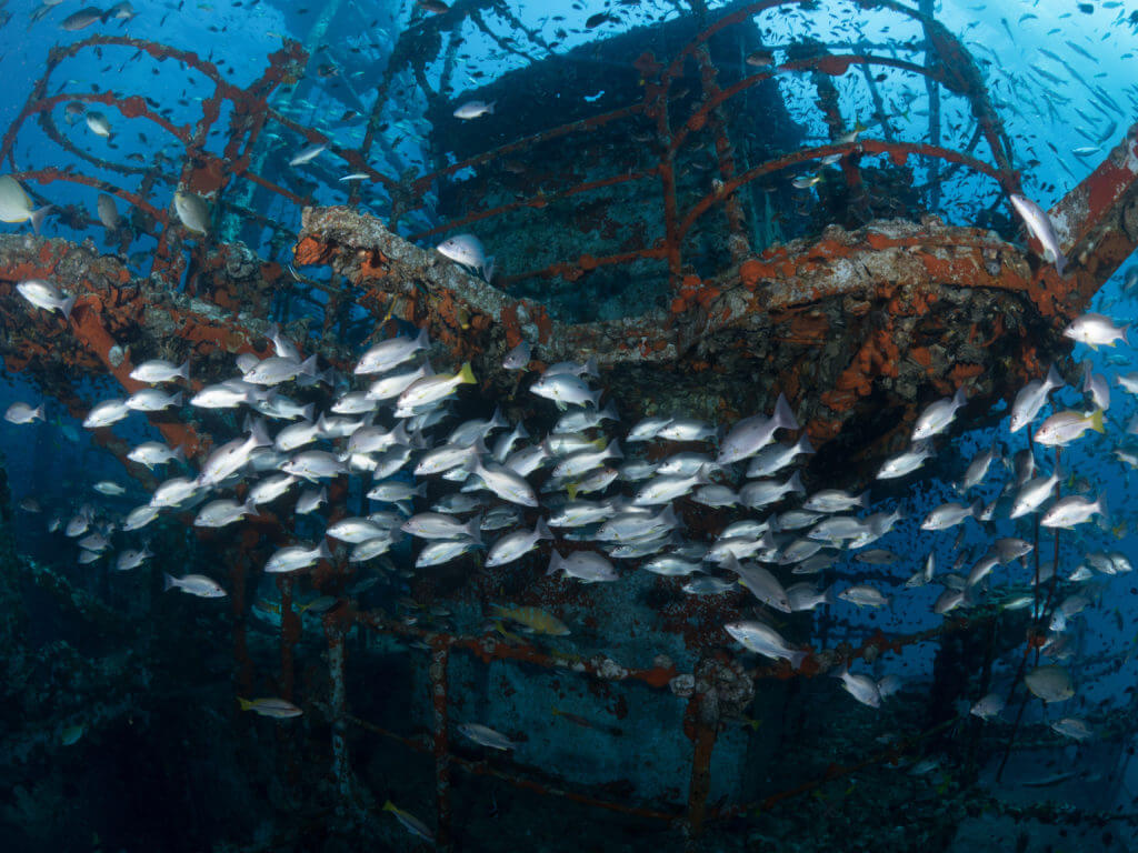 Ko Chang diving