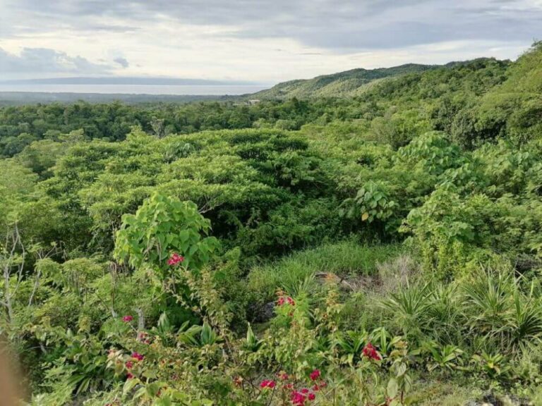 Mountains of Siquijor island as seen from tower viewpoint.