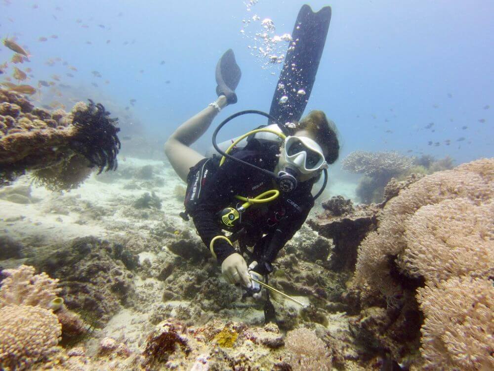Attractive female scuba diver at Panglao diving site.