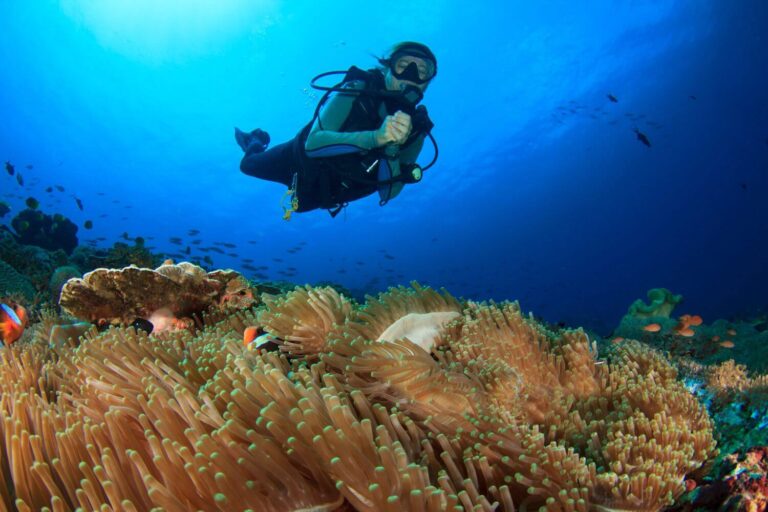 raja ampat diving for beginners