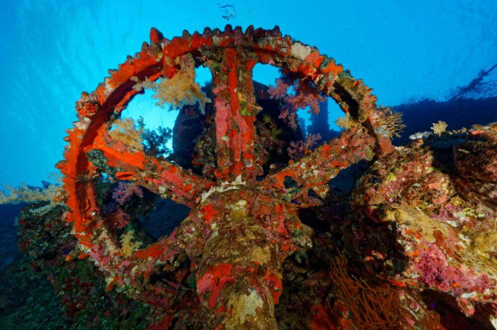 South Red Sea giannis d wreck