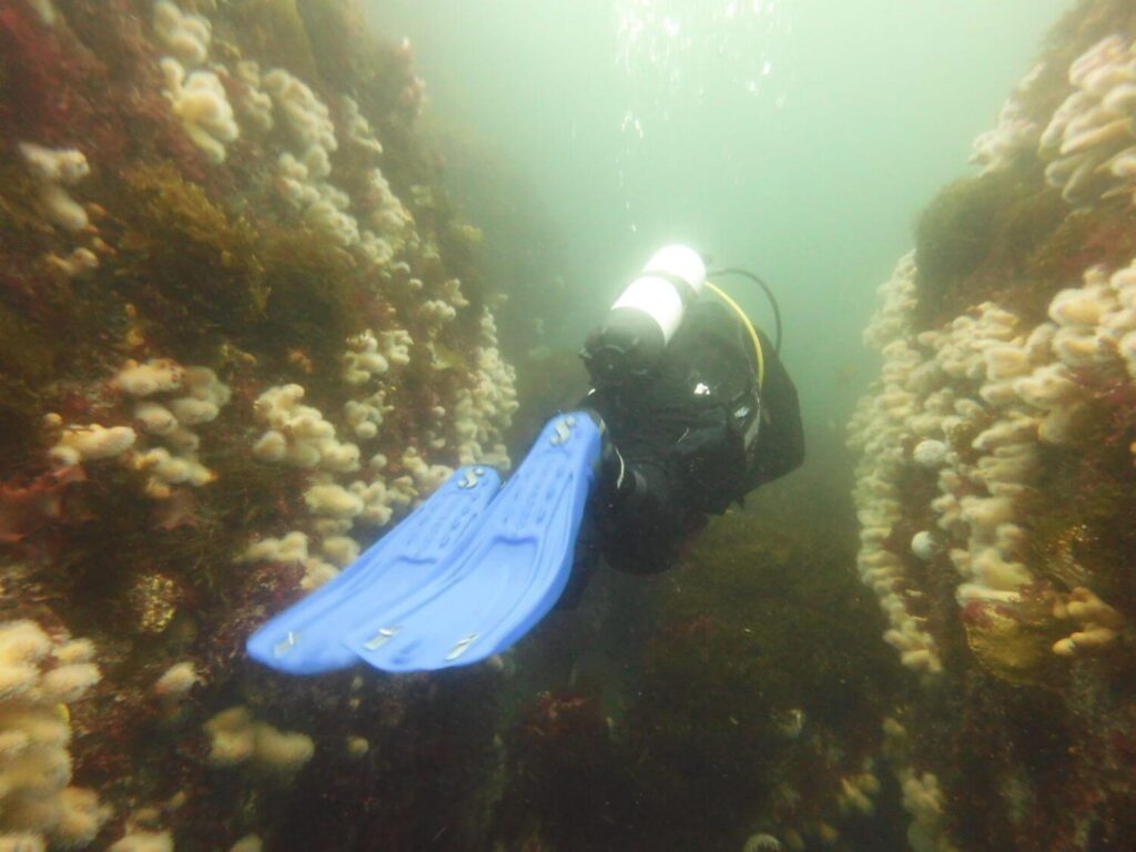 aran island diving