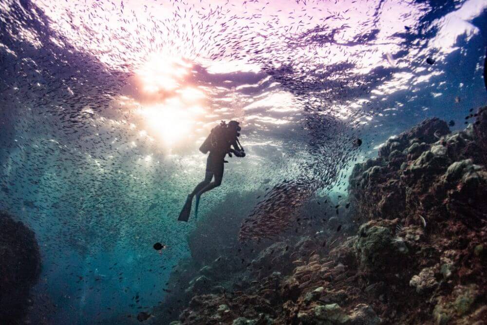 diver in richelieu rock