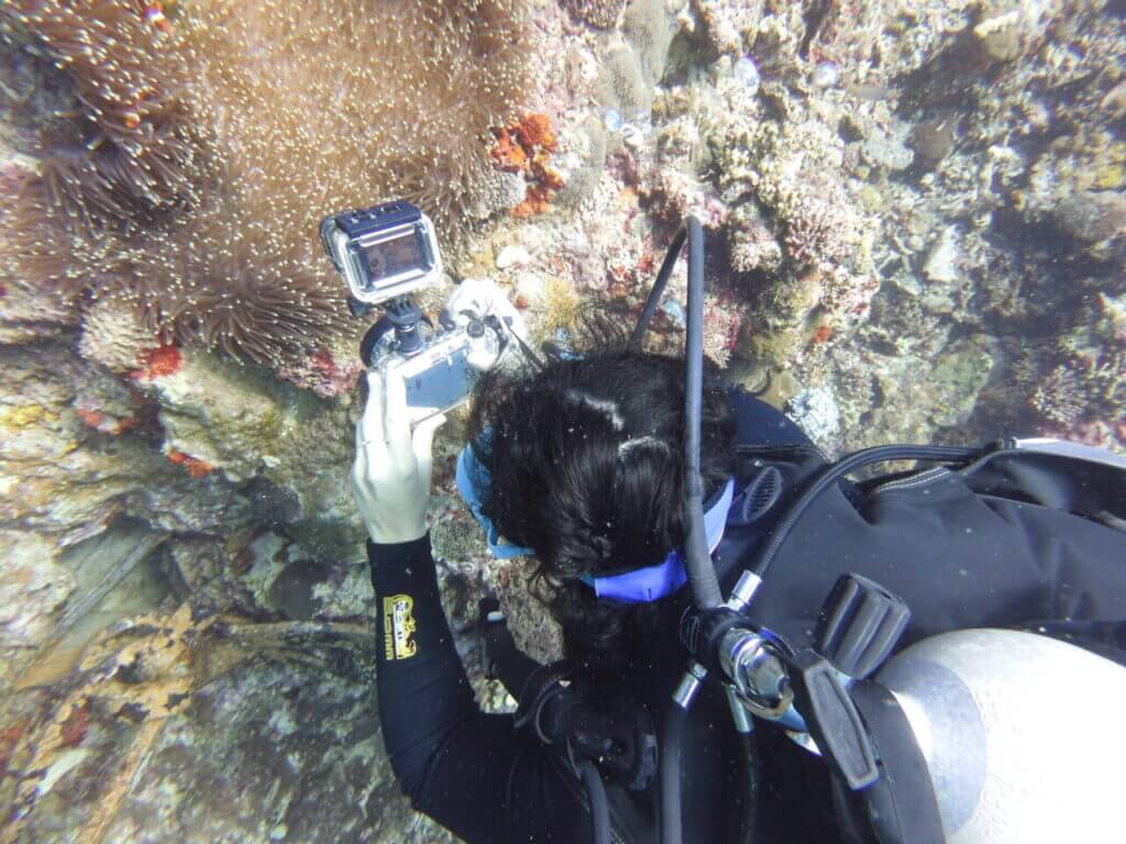 laura snapping anenome super close