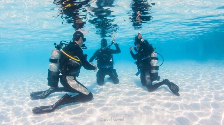 padi learning basics