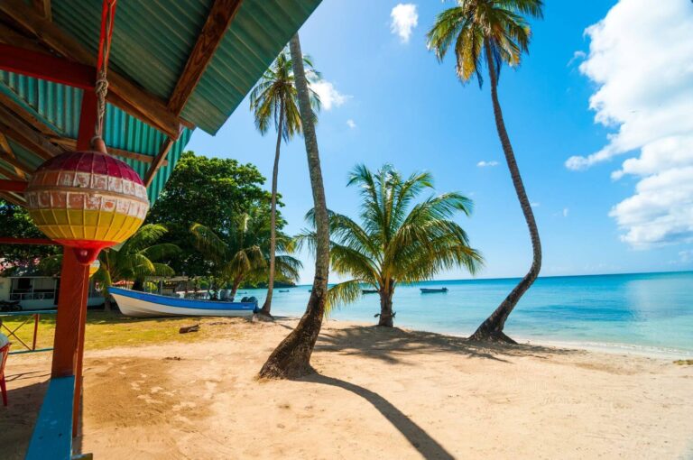 san andres palm trees beach