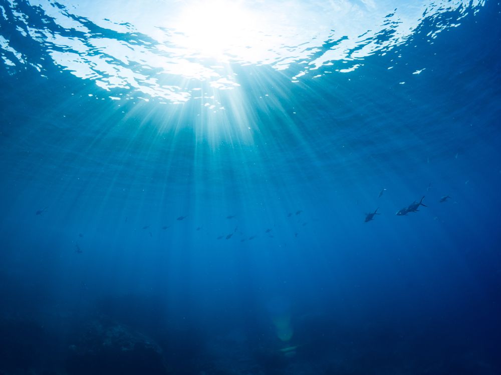 underwater light shot