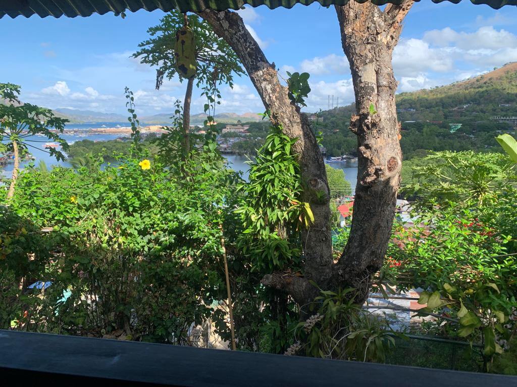 Viewpoint of Coron town from homestay