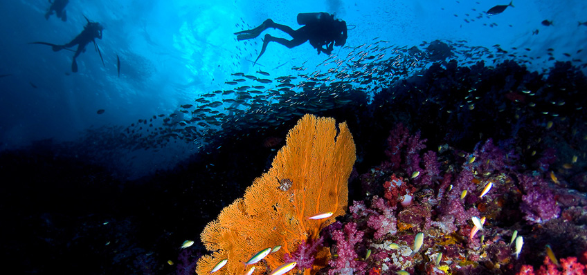 Similan Water