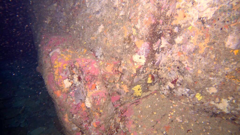 This image has an empty alt attribute; its file name is sponges.jpg