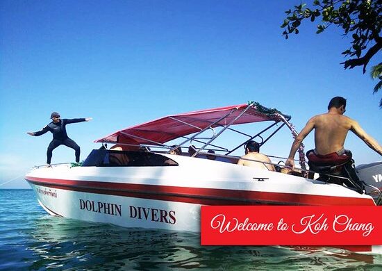 Dolphin Divers Speedboat